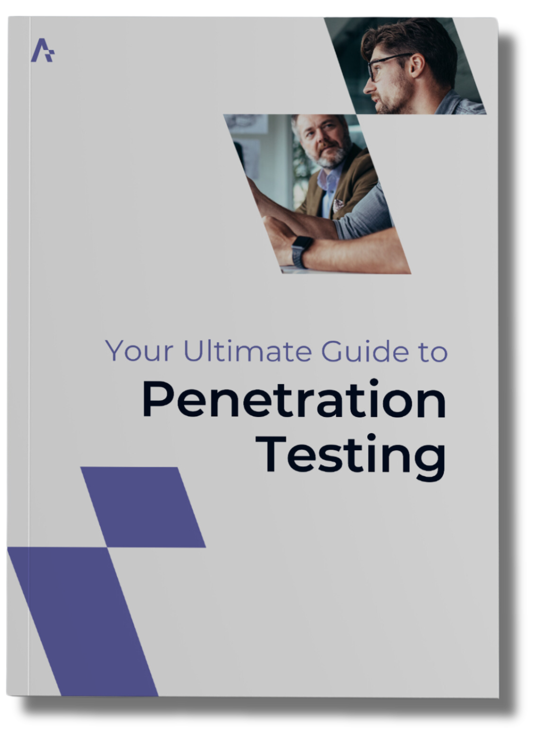 ultimate-guide-to-penetration-testing-pdf